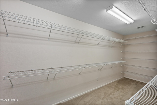 spacious closet featuring carpet