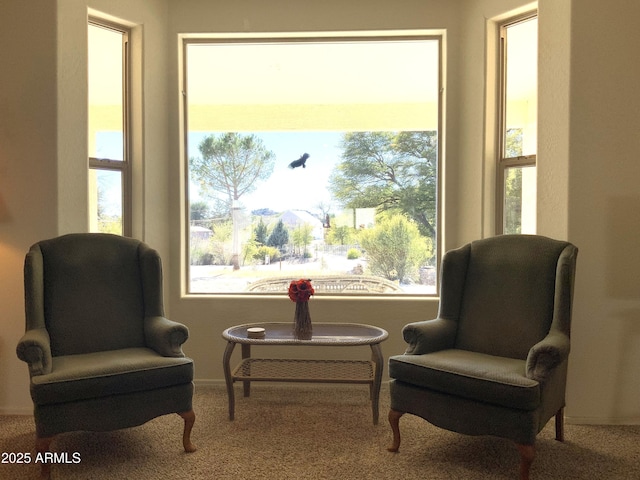 living area with carpet floors