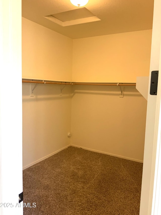 walk in closet featuring carpet floors