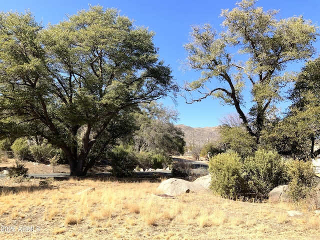 view of local wilderness featuring a mountain view