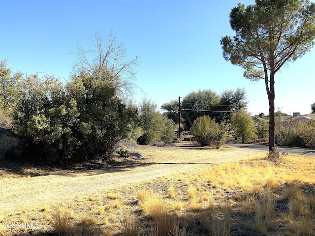 view of landscape