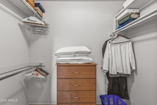 view of walk in closet