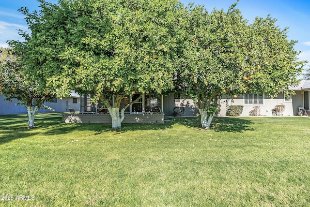 view of property hidden behind natural elements featuring a front lawn