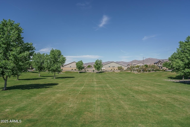 18731 W San Juan Ave, Litchfield Park, AZ 85340 - view of yard with a residential view