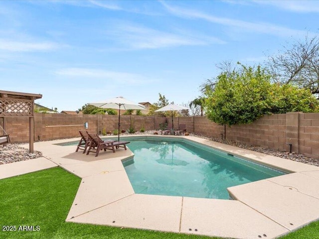 view of pool featuring a fenced backyard, a fenced in pool, and a patio area
