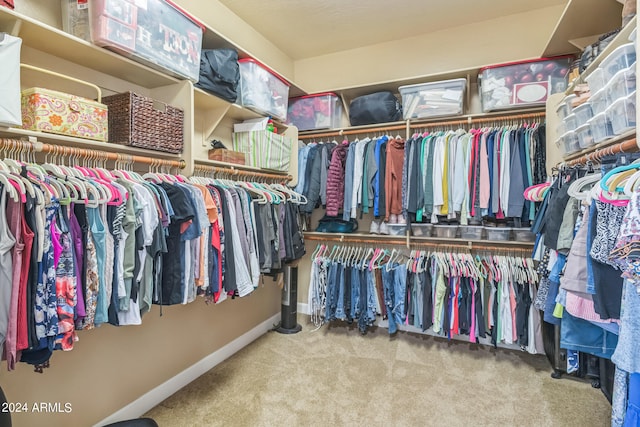 walk in closet featuring carpet flooring