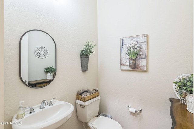 bathroom with toilet and sink