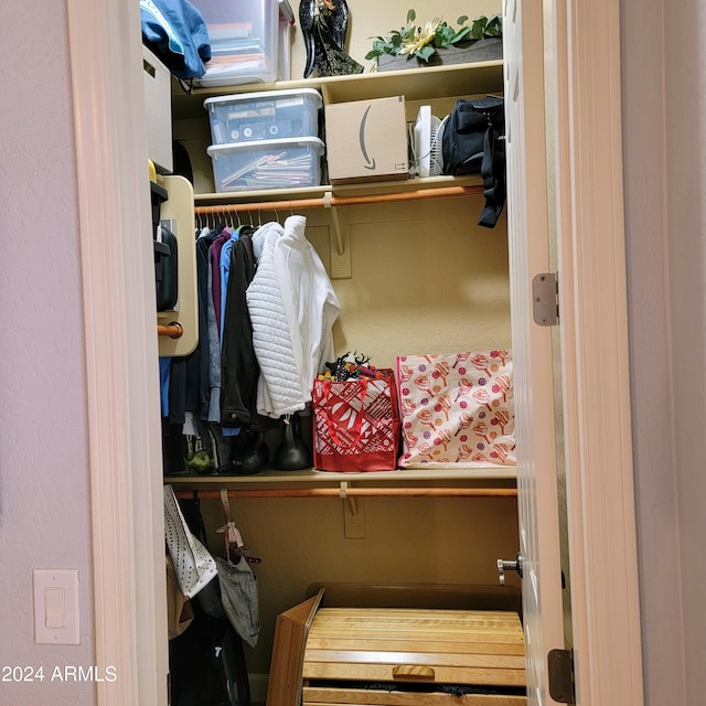 view of walk in closet