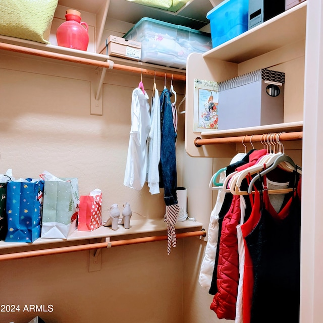 view of spacious closet