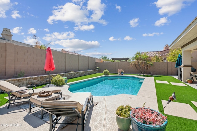 view of pool with a patio