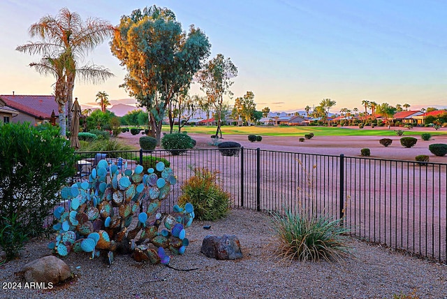 view of yard at dusk