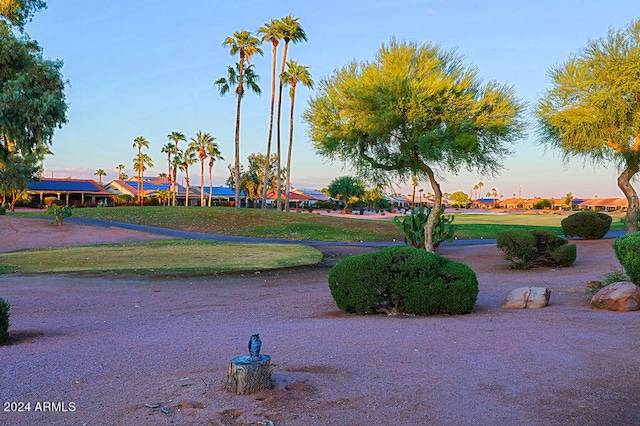 view of community featuring a lawn