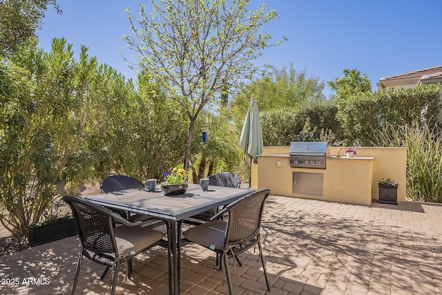 view of patio / terrace with exterior kitchen, outdoor dining area, and area for grilling