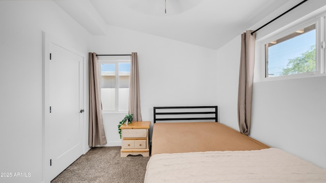 1717 W Roma Ave, Phoenix, AZ 85015 - bedroom featuring multiple windows and carpet
