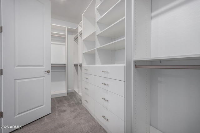 spacious closet featuring light carpet