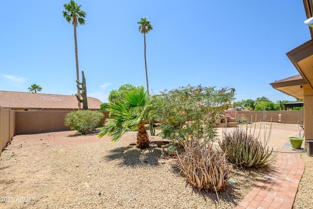 view of yard featuring a fenced backyard and a patio area