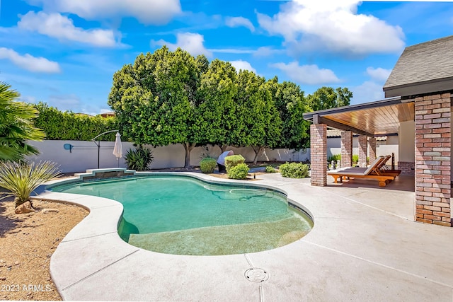 view of pool with a patio area