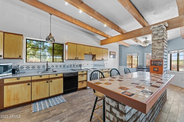 kitchen with tasteful backsplash, a wealth of natural light, dark hardwood / wood-style flooring, sink, and black dishwasher