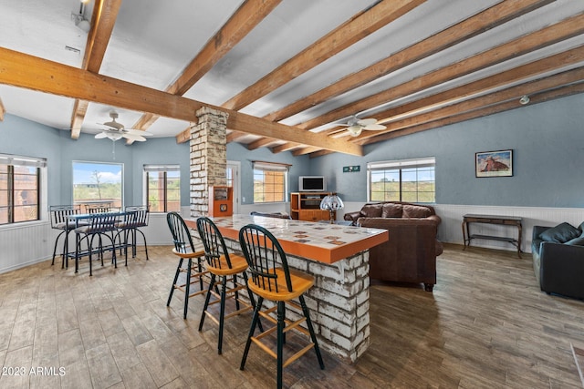 dining area with a wealth of natural light, ceiling fan, and hardwood / wood-style flooring