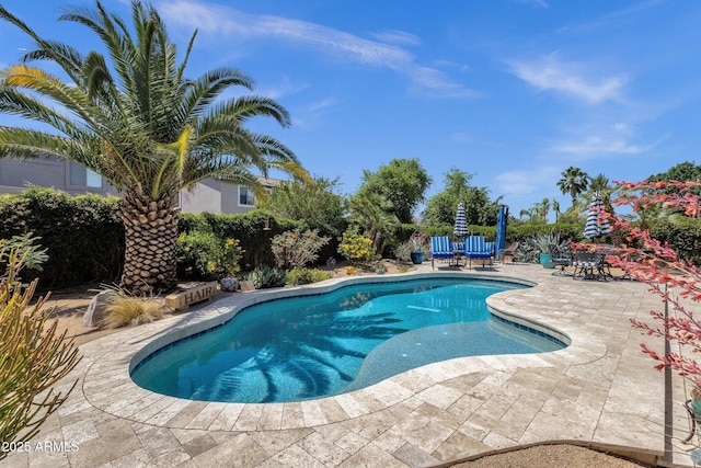 10359 E Los Lagos Vista Ave, Mesa, AZ 85209 - swimming pool with a patio area