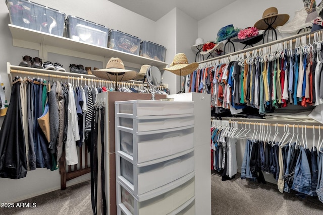 10359 E Los Lagos Vista Ave, Mesa, AZ 85209 - spacious closet featuring carpet
