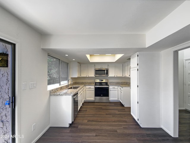 kitchen with dark wood-type flooring, white cabinets, sink, light stone countertops, and stainless steel appliances