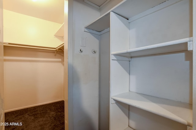 walk in closet featuring carpet floors