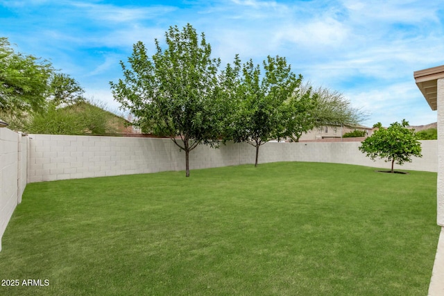 2438 W Via Dona Rd, Phoenix, AZ 85085 - view of yard