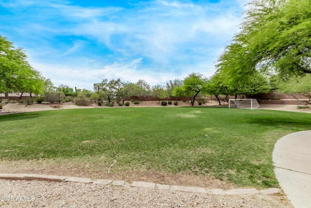 2438 W Via Dona Rd, Phoenix, AZ 85085 - view of yard with an area for soccer