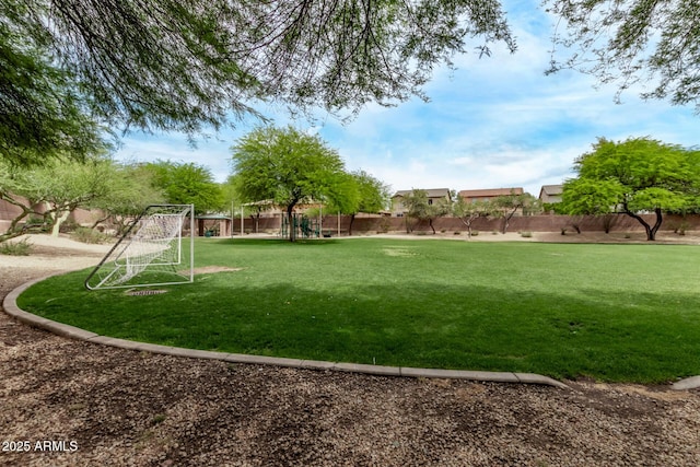 2438 W Via Dona Rd, Phoenix, AZ 85085 - view of yard with a sport area