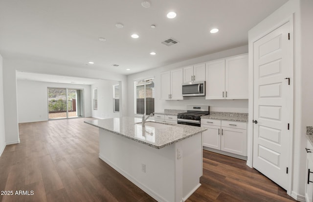 32076 N 136th Ave, Peoria, AZ 85383 - kitchen with visible vents, a sink, stainless steel appliances, and dark wood finished floors