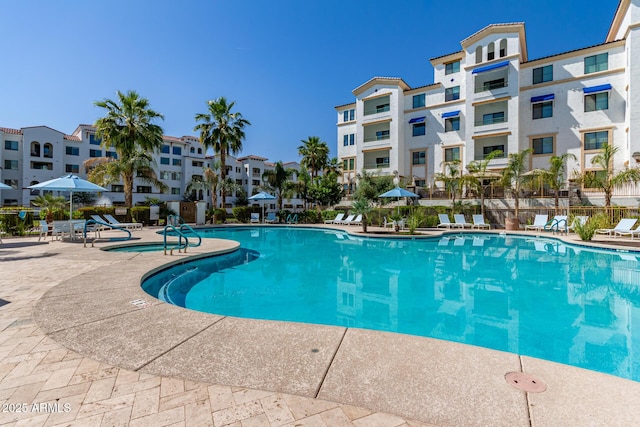 view of pool featuring a patio