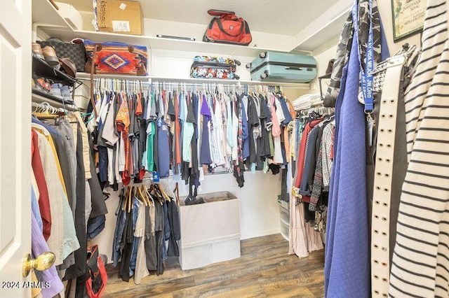 walk in closet with wood-type flooring