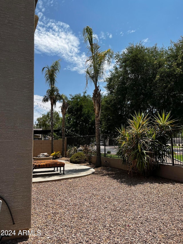 view of yard with a patio area