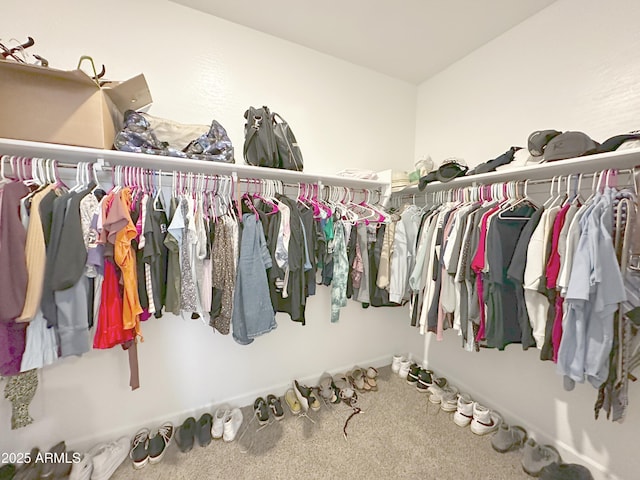 walk in closet featuring carpet flooring