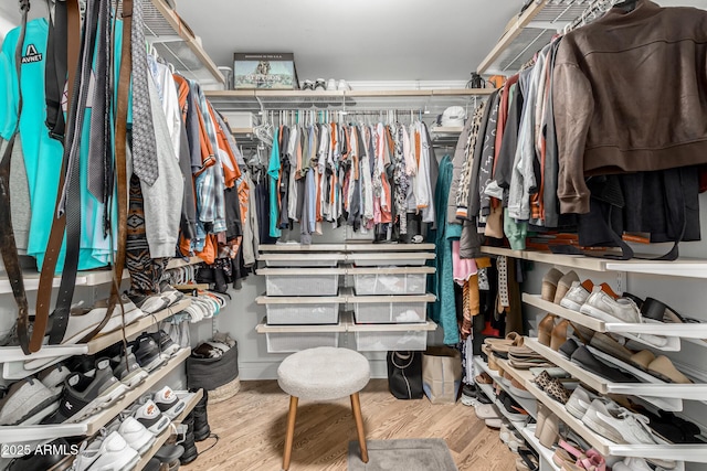 spacious closet featuring wood finished floors