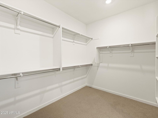 spacious closet featuring carpet flooring