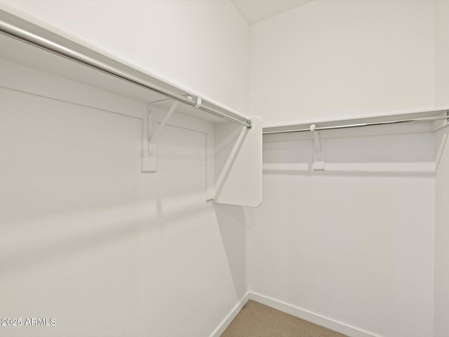 spacious closet with carpet flooring