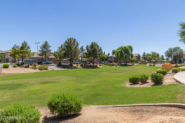 3064 E Michelle Way, Gilbert, AZ 85234 - view of property's community featuring a yard, a residential view, and uncovered parking