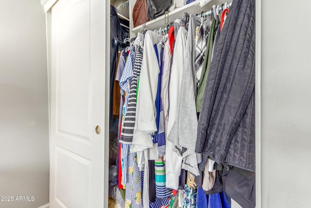 view of walk in closet