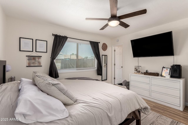3447 E Dolphin Ave, Mesa, AZ 85204 - bedroom featuring light wood-style flooring and ceiling fan