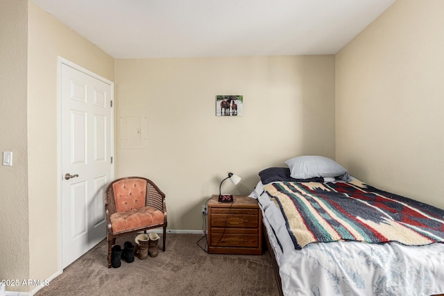 bedroom featuring carpet flooring