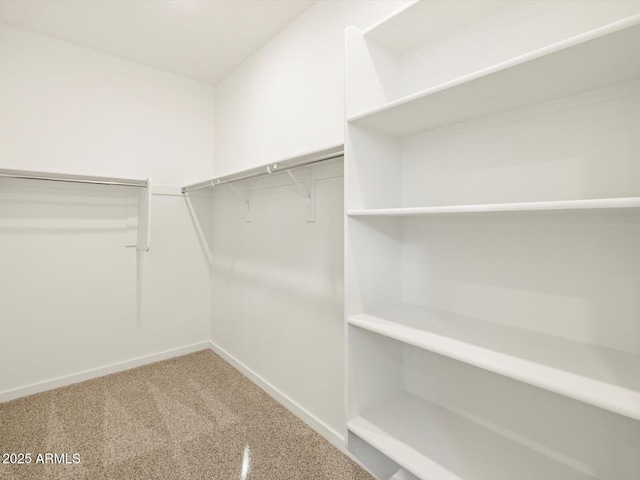 walk in closet with carpet flooring