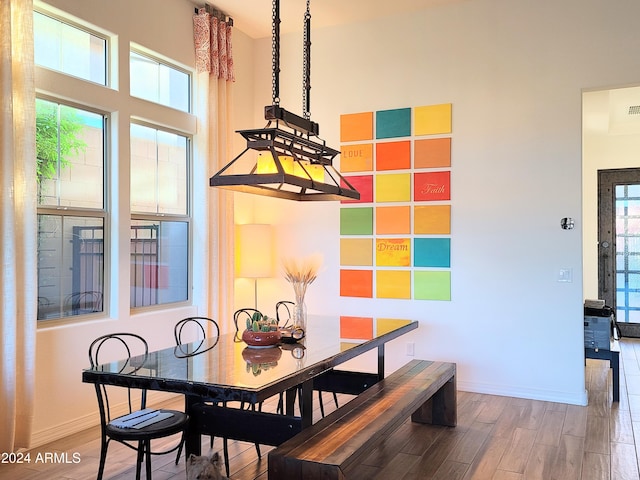 dining room with hardwood / wood-style flooring