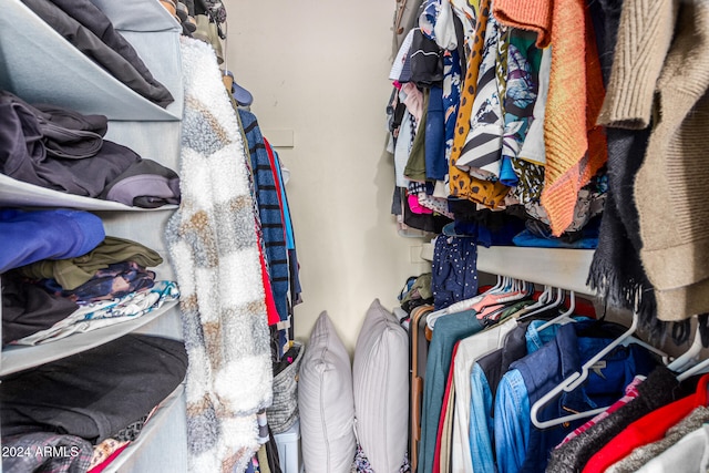 view of walk in closet