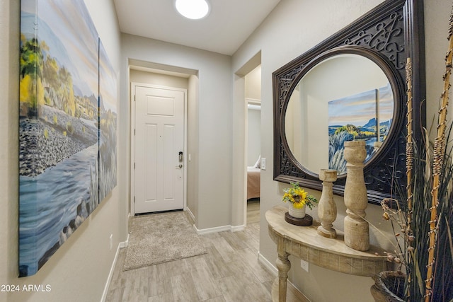 foyer entrance with light hardwood / wood-style floors