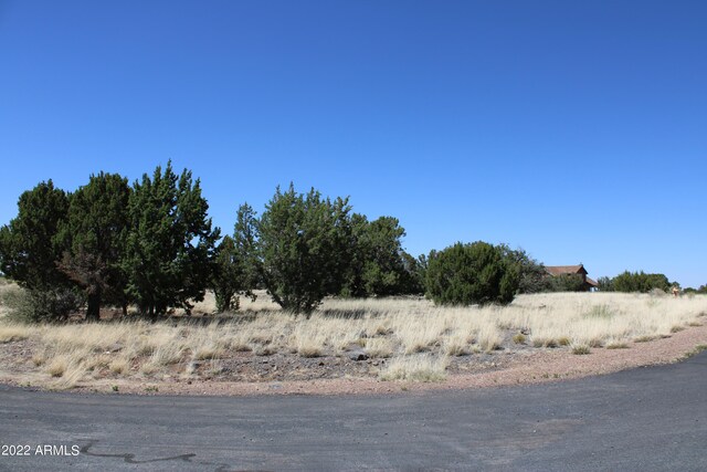 2511 Rock View Dr Unit 11, Show Low, AZ 85901