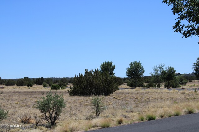 2511 Rock View Dr Unit 11, Show Low, AZ 85901