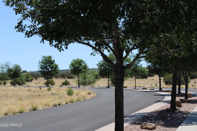 2511 Rock View Dr Unit 11, Show Low, AZ 85901