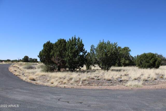 2511 Rock View Dr Unit 11, Show Low, AZ 85901